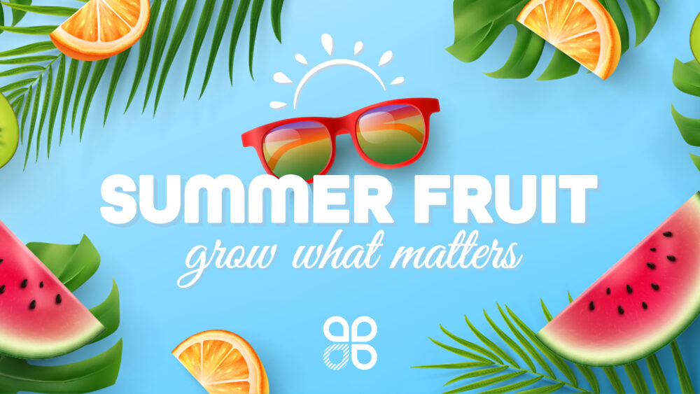 Summer Fruit